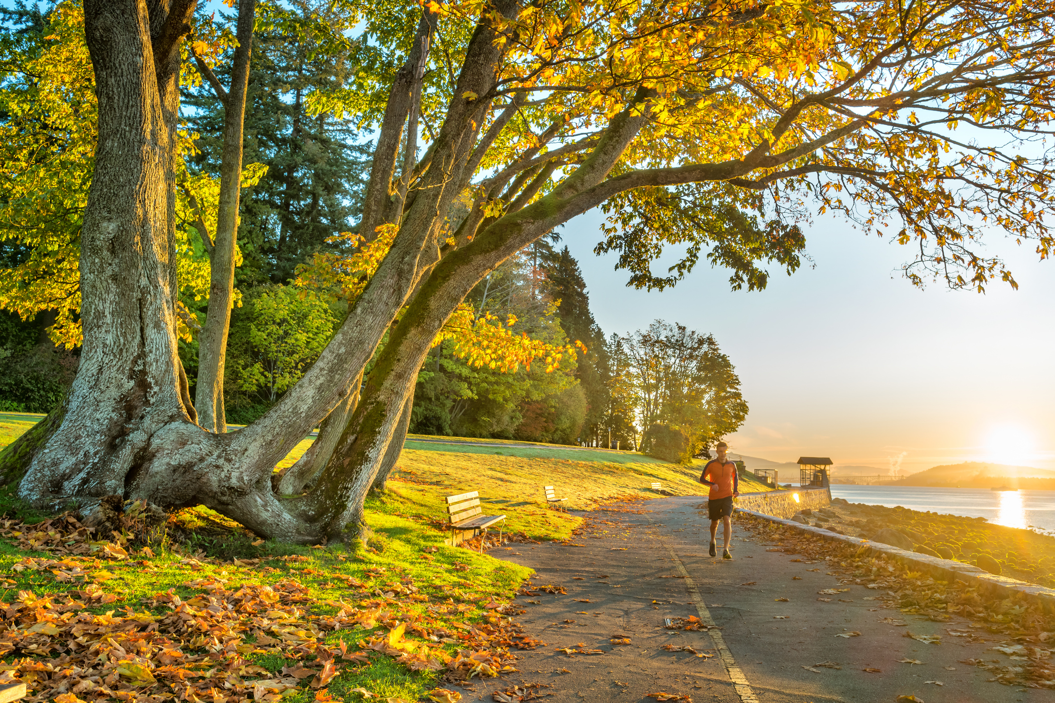 Stanley Park Seawall Trail Vancouver Canada